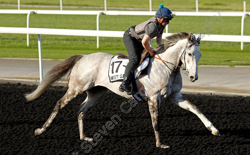 Misty-Grey-0001 
 MISTY GREY training at the Dubai World Cup Carnival
Meydan 5 Jan 2023 - Pic Steven Cargill / Racingfotos.com