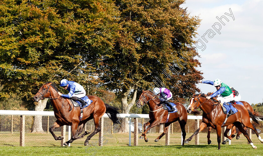 Stormwave-0001 
 STORMWAVE (Harry Bentley) wins The PKF Francis Clark EBF Novice Stakes Div2
Salisbury 3 Oct 2018 - Pic Steven Cargill / Racingfotos.com