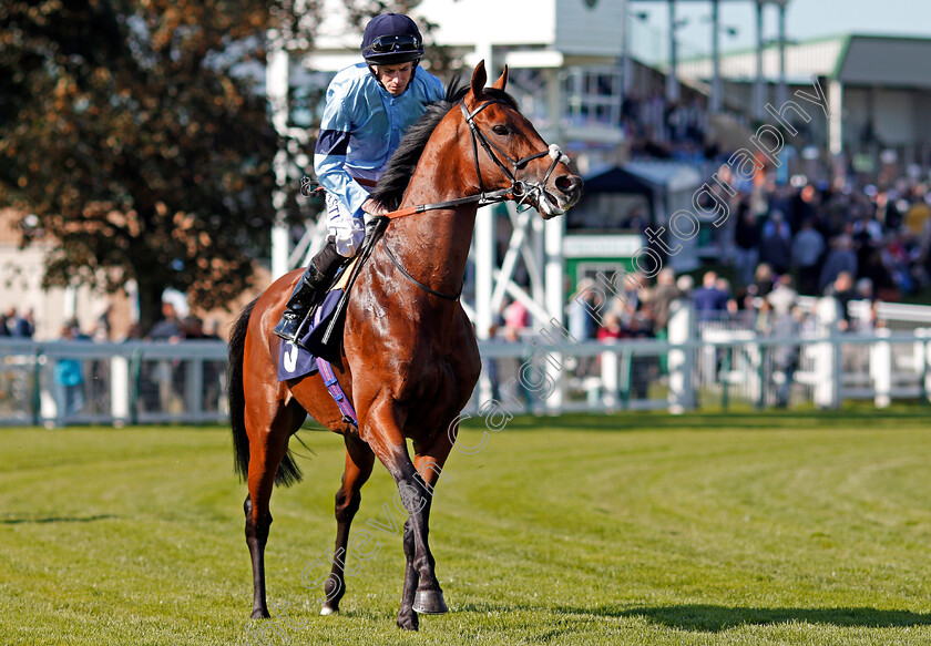 Intellect-0001 
 INTELLECT (Ryan Moore) Yarmouth 19 Sep 2017 - Pic Steven Cargill / Racingfotos.com