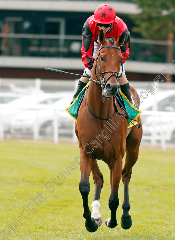 Oxted-0001 
 OXTED (David Probert)
Newbury 20 Jul 2019 - Pic Steven Cargill / Racingfotos.com