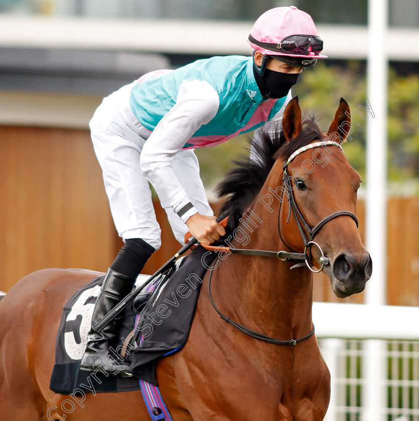 Pomelo-0001 
 POMELO (Harry Bentley) winner of The Price Promise at bet365 Fillies Novice Stakes
Newbury 19 Jul 2020 - Pic Steven Cargill / Racingfotos.com