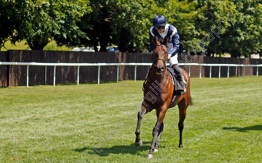 Celandine-0004 
 CELANDINE (Tom Marquand) winner of The Maureen Brittain Memorial Empress Fillies Stakes
Newmarket 29 Jun 2024 - Pic Steven Cargill / Racingfotos.com