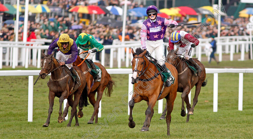 Mohaayed-0004 
 MOHAAYED (Bridget Andrews) wins The Randox Health County Handicap Hurdle Cheltenham 16 mar 2018 - Pic Steven Cargill / Racingfotos.com