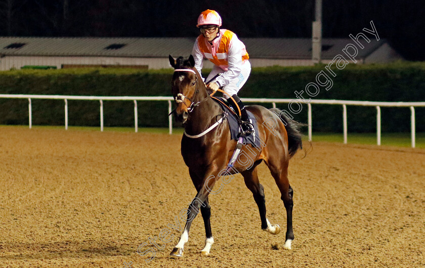 A-War-Eagle-0002 
 A WAR EAGLE (Aidan Keeley)
Wolverhampton 20 Dec 2024 - Pic Steven Cargill / Racingfotos.com