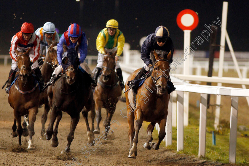 Lucky-Turn-0004 
 LUCKY TURN (Hayley Turner) wins The Fluid Business Coaching Handicap
Chelmsford 28 Nov 2019 - Pic Steven Cargill / Racingfotos.com