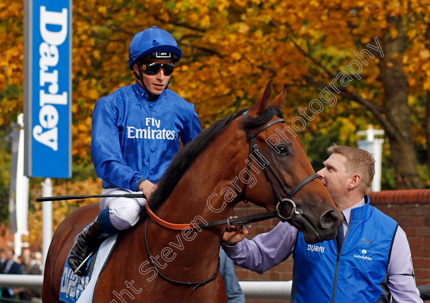 Rastrelli-0001 
 RASTRELLI (William Buick) Newmarket 14 Oct 2017 - Pic Steven Cargill / Racingfotos.com