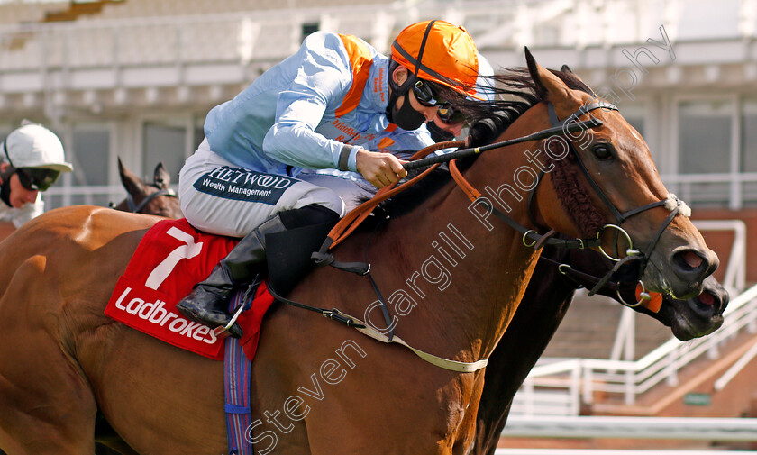 Cold-Stare-0004 
 COLD STARE (Harry Bentley) wins The Brian Chattaway Celebrating 50 Years At Ladbrokes Handicap
Goodwood 29 Aug 2020 - Pic Steven Cargill / Racingfotos.com