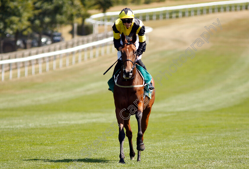 Main-Edition-0001 
 MAIN EDITION (James Doyle)
Newmarket 13 Jul 2018 - Pic Steven Cargill / Racingfotos.com