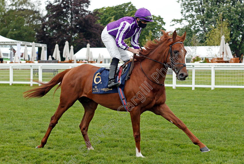 The-Mediterranean-0002 
 THE MEDITERRANEAN (Ryan Moore)
Ascot 18 Jun 2021 - Pic Steven Cargill / Racingfotos.com