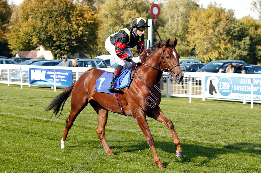 Global-Express-0002 
 GLOBAL EXPRESS (Gerald Mosse)
Salisbury 3 Oct 2018 - Pic Steven Cargill / Racingfotos.com