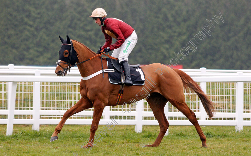 Whatswrongwithyou-0002 
 WHATSWRONGWITHYOU (Nico de Boinville) winner of The Read Paul Nicholls Exclusively At Betfair Novices Hurdle Newbury 10 Feb 2018 - Pic Steven Cargill / Racingfotos.com