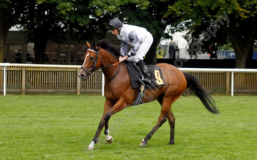 Waiting-All-Night-0001 
 WAITING ALL NIGHT (Ryan Moore)
Newmarket 12 Jul 2024 - Pic Steven Cargill / Racingfotos.com