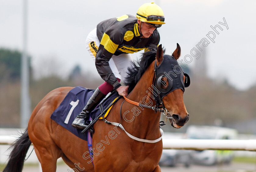 Doctor-Khan-Junior-0003 
 DOCTOR KHAN JUNIOR (Harry Russell)
Wolverhampton 9 Mar 2024 - Pic Steven Cargill / Racingfotos.com