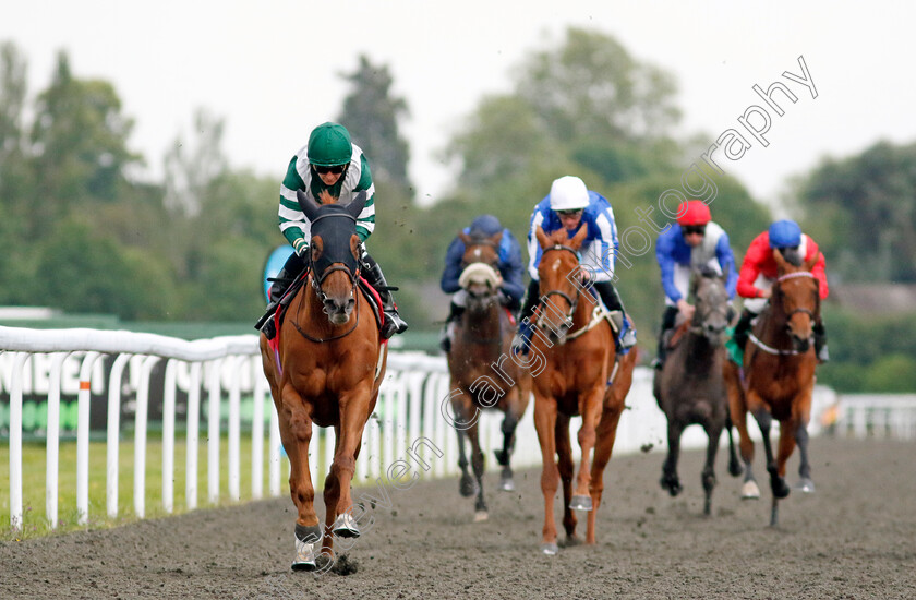 Aiming-High-0004 
 AIMING HIGH (Hayley Turner) wins The Try Unibet's Improved Bet Builder Fillies Handicap
Kempton 12 Jun 2024 - Pic Steven Cargill / Racingfotos.com