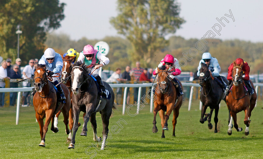 Nightwalker-0005 
 NIGHTWALKER (Ryan Moore) beats ULTRASOUL (left) in The EBF Future Stayers Maiden Stakes
Yarmouth 18 Sep 2024 - Pic Steven Cargill / Racingfotos.com