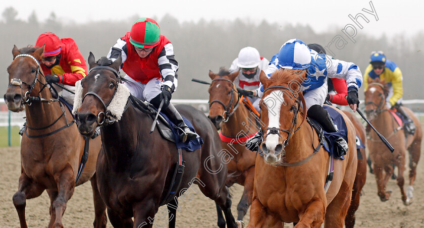 Party-Island-0004 
 PARTY ISLAND (right, George Bass) beats SUBLIMINAL (centre) and EL CONQUISTADOR (left) in The Heed Your Hunch At Betway Handicap
Lingfield 9 Jan 2021 - Pic Steven Cargill / Racingfotos.com