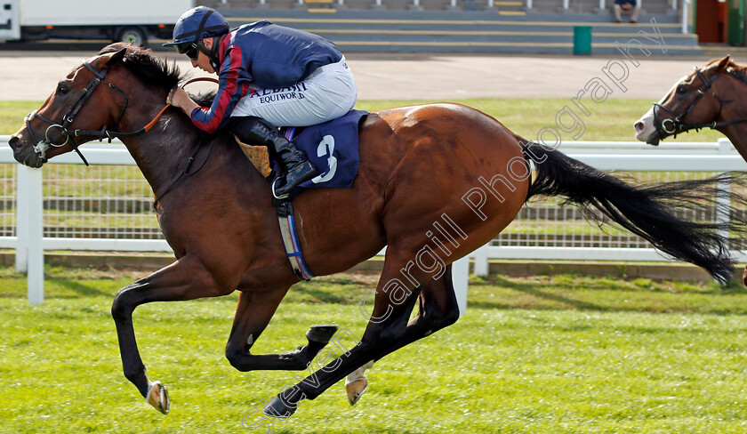 Hickory-0006 
 HICKORY (Tom Marquand) wins The EBF Future Stayers Novice Stakes
Yarmouth 25 Aug 2020 - Pic Steven Cargill / Racingfotos.com