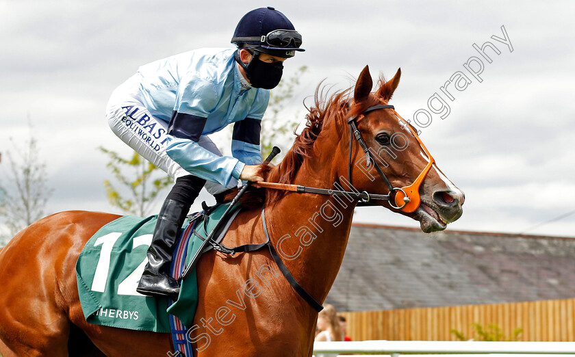 Cirrus-0001 
 CIRRUS (Pat Dobbs)
Newbury 19 Jul 2020 - Pic Steven Cargill / Racingfotos.com