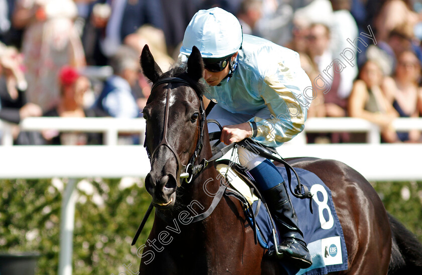 Far-Above-Mary-0001 
 FAR ABOVE MARY (William Buick)
Chester 9 May 2024 - Pic Steven Cargill / Racingfotos.com