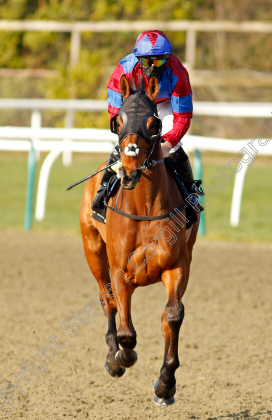 Power-Of-States-0001 
 POWER OF STATES (Ben Curtis)
Lingfield 27 Feb 2021 - Pic Steven Cargill / Racingfotos.com