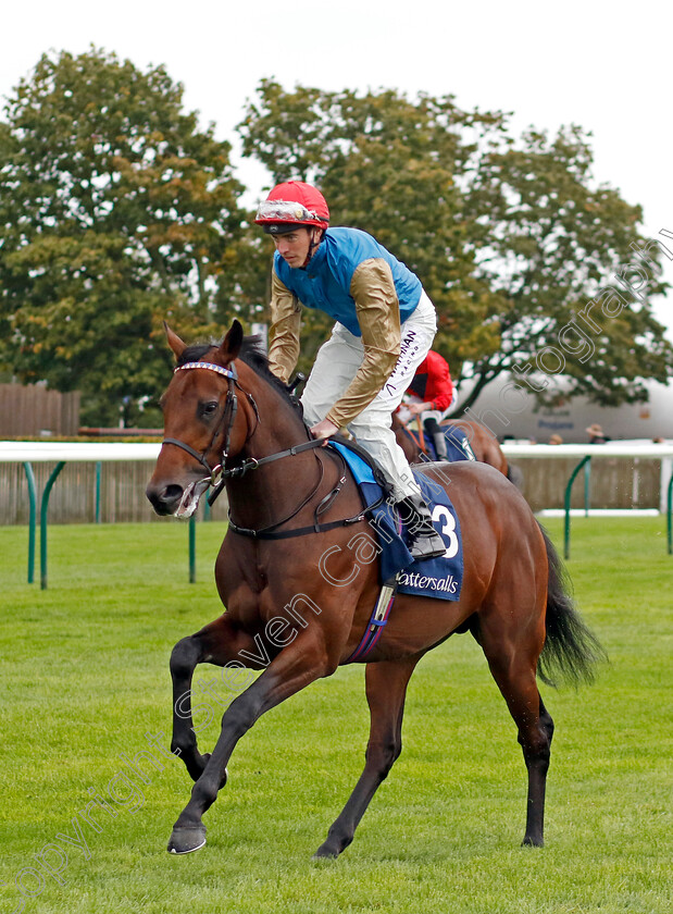 Diego-Ventura-0001 
 DIEGO VENTURA (James Doyle)
Newmarket 26 Sep 2024 - pic Steven Cargill / Racingfotos.com