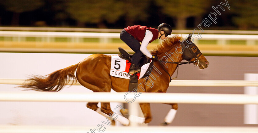 T-O-Keynes-0001 
 T O KEYNES (Oisin Murphy) training for The Dubai World Cup
Meydan, Dubai, 22 Mar 2023 - Pic Steven Cargill / Racingfotos.com