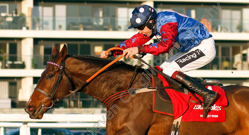 Paisley-Park-0004 
 PAISLEY PARK (Aidan Coleman) wins The Ladbrokes Long Distance Hurdle
Newbury 29 Nov 2019 - Pic Steven Cargill / Racingfotos.com