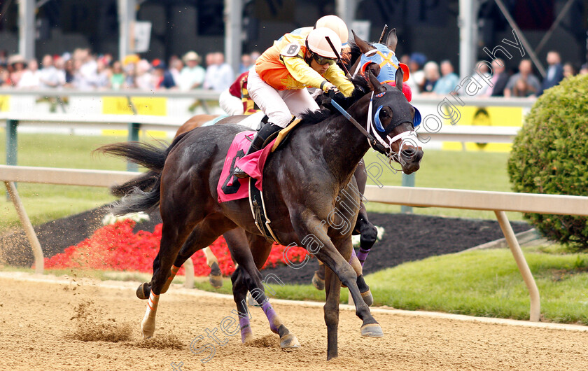 Eifs-0002 
 EIFS (Jevian Toledo) wins Maiden 
Pimlico 17 May 2019 - Pic Steven Cargill / Racingfotos.com