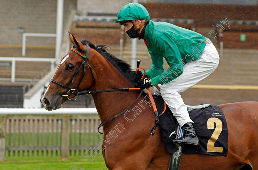 Cholmondeley-0002 
 CHOLMONDELEY (James Doyle)
Newmarket 31 Oct 2020 - Pic Steven Cargill / Racingfotos.com