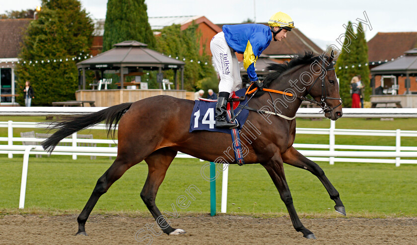 Falcon-Cliffs-0001 
 FALCON CLIFFS (Cieren Fallon)
Lingfield 3 Oct 2019 - Pic Steven Cargill / Racingfotos.com