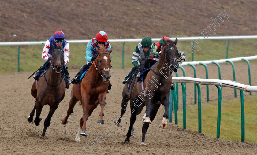 Red-Verdon-0003 
 RED VERDON (centre, Oisin Murphy) beats GREAT HALL (left) and CELESTIAL PATH (right) in The Betway Conditions Stakes Lingfield 14 Feb 2018 - Pic Steven Cargill / Racingfotos.com