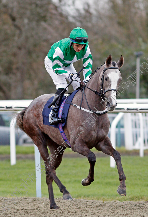 Grey-Dreaming 
 GREY DREAMING (Connor Murtagh)
Lingfield 1 Dec 2021 - Pic Steven Cargill / Racingfotos.com