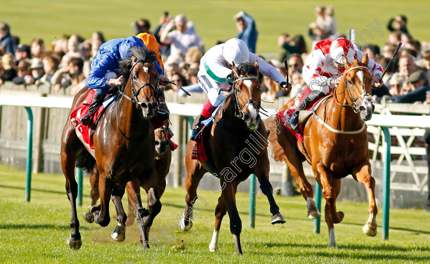 Silver-Knott-0006 
 SILVER KNOTT (left, William Buick) beats EPICTETUS (centre) and HOLLOWAY BOY (right) in The Emirates Autumn Stakes
Newmarket 8 Oct 2022 - Pic Steven Cargill / Racingfotos.com