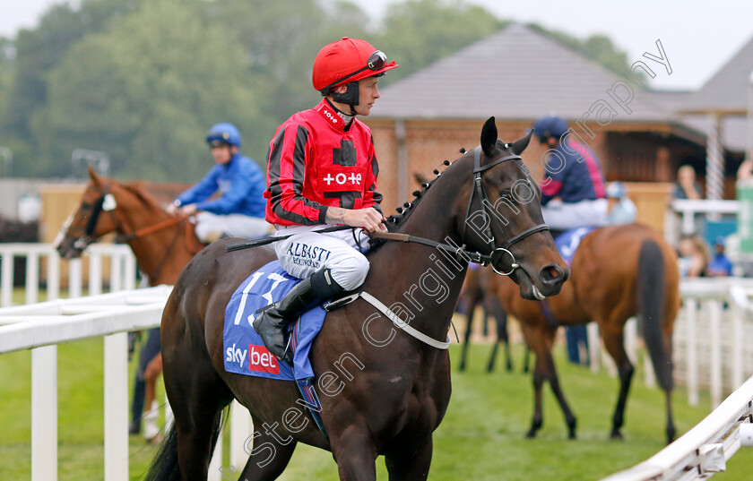 Indian-Falcon-0001 
 INDIAN FALCON (Cam Hardie)
York 17 Jun 2023 - Pic Steven Cargill / Racingfotos.com