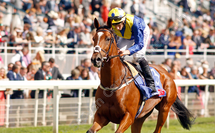 Real-Dream-0003 
 REAL DREAM (Ryan Moore)
York 26 Aug 2023 - Pic Steven Cargill / Racingfotos.com