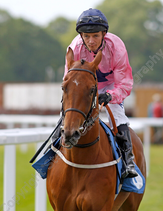 Misty-Blues 
 MISTY BLUES (David Allan)
York 10 Jun 2022 - Pic Steven Cargill / Racingfotos.com