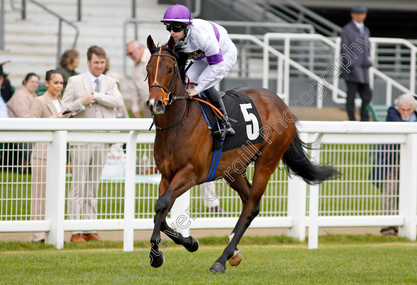 Diligently-0002 
 DILIGENTLY (Richard Kingscote)
Ascot 1 May 2024 - Pic Steven Cargill / Racingfotos.com