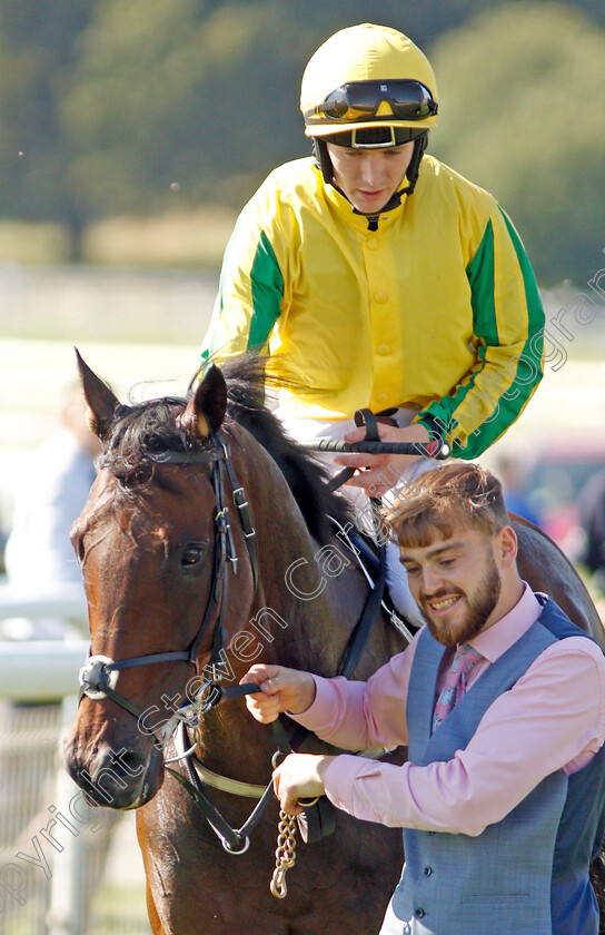 Mustajeer-0011 
 MUSTAJEER (Colin Keane) after The Sky Bet Ebor
York 24 Aug 2019 - Pic Steven Cargill / Racingfotos.com