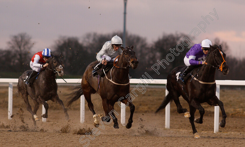 Fen-Breeze-0003 
 FEN BREEZE (right, Nicky Mackay) beats KEY TO POWER (centre) in The £20 Free Bets At totesport.com Novice Stakes
Chelmsford 20 Feb 2019 - Pic Steven Cargill / Racingfotos.com