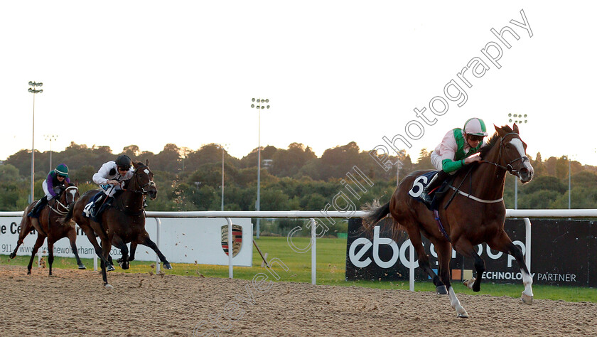 Dixieland-Diva-0001 
 DIXIELAND DIVA (Rob Hornby) wins The Redzonesports.bet NFL Experts Fillies Novice Median Auction Stakes
Wolverhampton 5 Sep 2018 - Pic Steven Cargill / Racingfotos.com