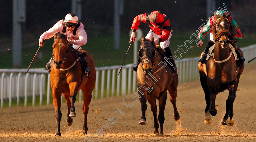 Traveller-0003 
 TRAVELLER (centre, Cam Hardie) beats AMOR FATI (left) and NOBLE ACCOUNT (right) in The Play 4 To Score At Betway Handicap Div1 
Wolverhampton 21 Feb 2020 - Pic Steven Cargill / Racingfotos.com