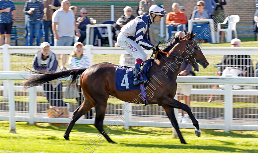 Brastias-0001 
 BRASTIAS (Oisin Murphy)
Yarmouth 17 Sep 2024 - Pic Steven Cargill / Racingfotos.com