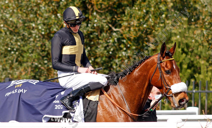 Ranch-Hand-0007 
 RANCH HAND (James Doyle) after The Betway All-weather Marathon Championships Conditions Stakes
Lingfield 2 Apr 2021 - Pic Steven Cargill / Racingfotos.com