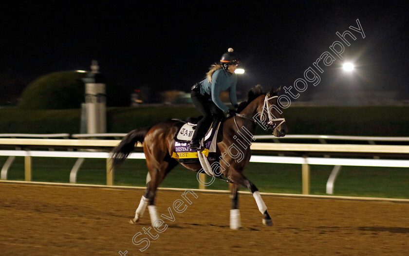 Nest-0001 
 NEST training for the Breeders' Cup Distaff
Keeneland USA 1 Nov 2022 - Pic Steven Cargill / Racingfotos.com