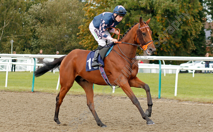 Road-To-Paris-0001 
 ROAD TO PARIS (Luke Morris) winner of The First For Industry Jobs Visit Starrecruitment.bet Handicap
Lingfield 3 Oct 2019 - Pic Steven Cargill / Racingfotos.com