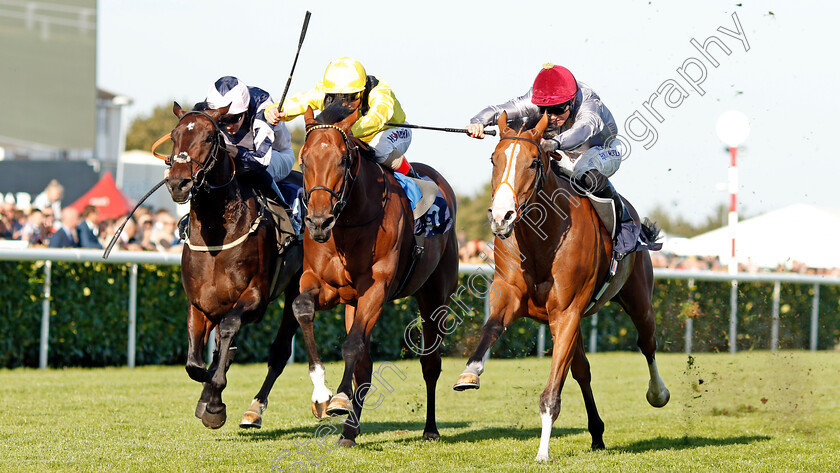 Qaysar-0003 
 QAYSAR (right, Pat Dobbs) beats BAYROOT (centre) and BALTIC BARON (left) in The P J Towey Construction Ltd Handicap
Doncaster 14 Sep 2019 - Pic Steven Cargill / Racingfotos.com