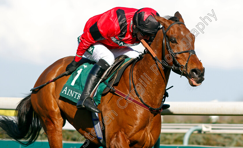 Ahoy-Senor-0008 
 AHOY SENOR (Derek Fox) wins The Doom Bar Sefton Novices Hurdle
Aintree 9 Apr 2021 - Pic Steven Cargill / Racingfotos.com