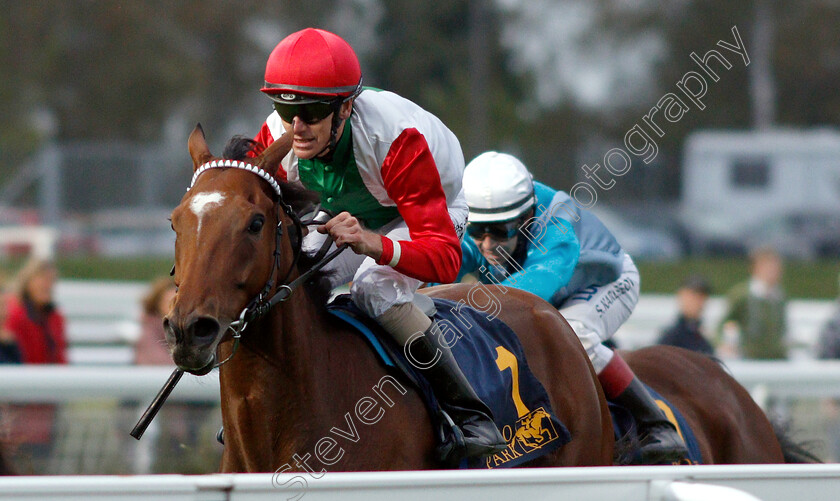 Gold-Tyranny-0003 
 GOLD TYRANNY (Jacob Johansen) wins The Breeders' Trophy Stayer
Bro Park, Sweden 21 Sep 2018 - Pic Steven Cargill / Racingfotos.com