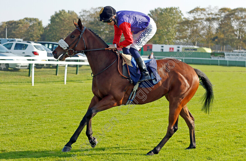 Distant-Light 
 DISTANT LIGHT (David Probert)
Yarmouth 19 Oct 2021 - Pic Steven Cargill / Racingfotos.com