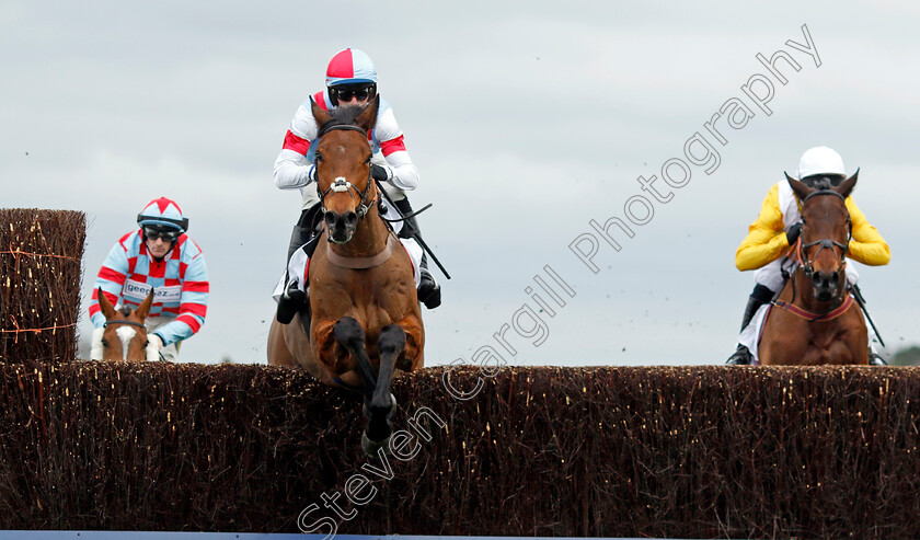 Brave-Kingdom-0002 
 BRAVE KINGDOM (Harry Cobden)
Ascot 17 Feb 2024 - Pic Steven Cargill / Racingfotos.com